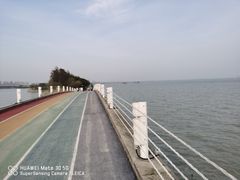 -贡湖湾湿地公园