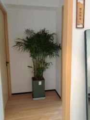 -吾之瑜生瑜伽普拉提学院