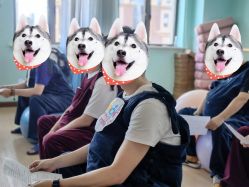 -爱尔乐美孕产瑜伽·普拉提