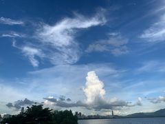 -深圳湾公园(南山区)