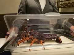-官也街澳门火锅(新源里店)