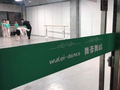 -舞蕾舞蹈(特长生校区)