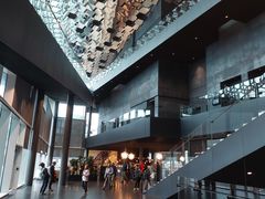 -冰岛阴茎博物馆