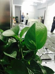 -I+造型烫发染发