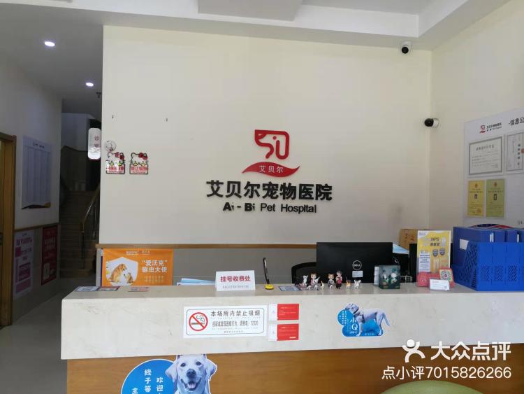 2021年12月21日 关注 养宠必备✔靠谱又暖心的宠物医院 🌳家里猫