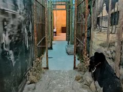 -北京动物园-畅观楼