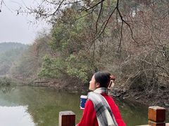-青龙山国家森林公园