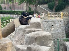 -石家庄市动物园