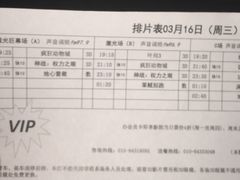 -枫花园汽车电影院(朝阳公园店)
