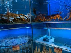 水产区-协成海鲜火锅(海洋花园店)