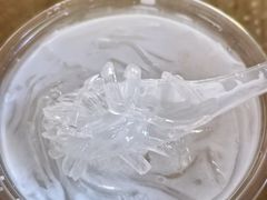 椰汁海石花-贤兴甜汤