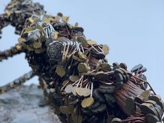 -庐山风景区花径公园