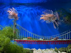 -太平洋海底世界