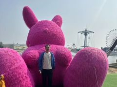 -秦皇岛乐岛海洋王国