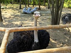 -大连森林动物园