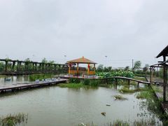 -同銮特种养殖场·龙虾垂钓