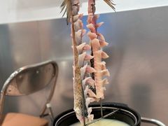 -楼上大排档·顺德菜·粥水·鱼生(苗栗路店)