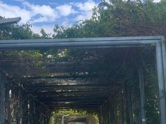 -光明小镇欢乐田园