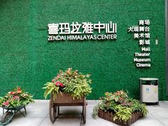 -证大喜玛拉雅中心