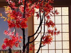 -北方暖暖温泉洗浴(沈阳北站店)