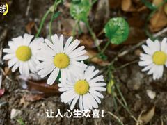 -安徽博物院新馆