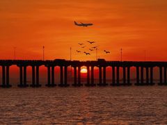 -宝安西湾红树林湿地公园