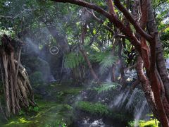 -Chom Cafe and Restaurant