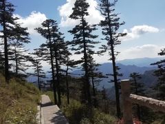 -朱雀国家森林公园