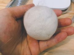 -喵五郎の猫咪酒店·专业洗护·寄养