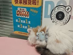 -美迦爱动物医院·夜诊(朝阳路诊疗中心)