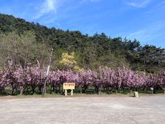 -金龙寺国家森林公园