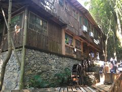 -天门沟九州驿站树上汤泉