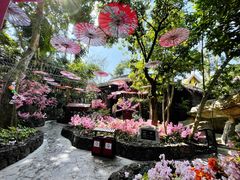 -海口观澜湖火山温泉谷
