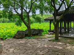 -高子水居