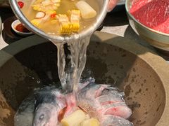 -滇色蒸汽石锅鱼(京华城店)