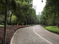 -龙头寺公园