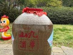 -杏花村文化旅游区