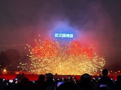 -武汉园博园(武汉自然博物馆)