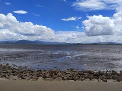 -深圳湾公园(南山区)