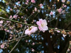 -西湖公园(鼓楼区)