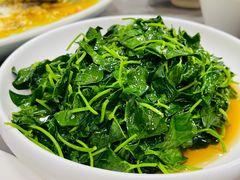 -沪依小酒馆心意菜