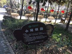 -安徽禾泉小镇
