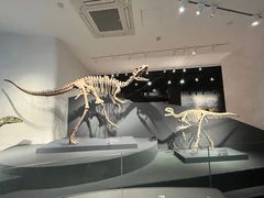 -自贡恐龙博物馆