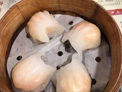 虾饺-捷信牛奶甜品世家(五道口店)