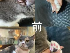 -听TA说宠咖·宠物生活馆(天韵水岸店)