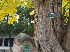 -苏州文庙(姑苏区)