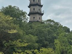 -江心屿景区