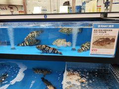 -盒马X会员店(王府井奥莱UP TOWN店)