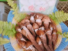 -佳缘野生菌食府