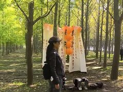 -汉景帝阳陵博物院